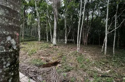 Terreno à venda na porto novo, 90, praia do rosa, imbituba, 847 m2 por r$ 600.000