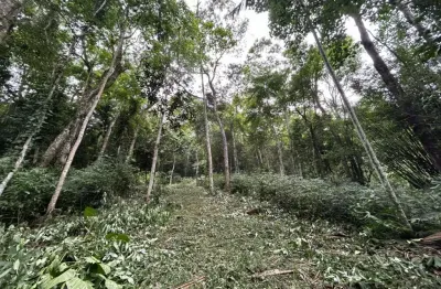 Terreno à venda na izabel idalina ferreira, 2901, ressacada, garopaba, 172990 m2 por r$ 1.260.000