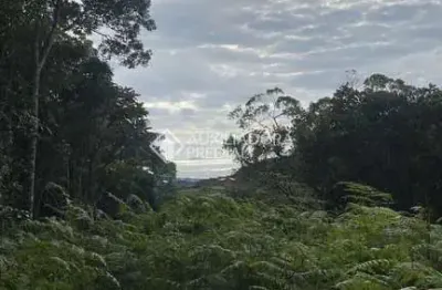 Terreno à venda na pedro manoel de lima, 444, macacu, garopaba, 20000 m2 por r$ 1.200.000
