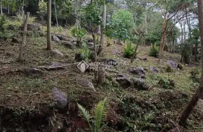 Terreno à venda na estrada geral canto do siriú, 373, siriú, garopaba, 1854 m2 por r$ 1.385.000