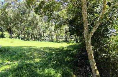 Terreno comercial à venda na leonildo peirão, 3, grama, garopaba, 2239 m2 por r$ 1.650.000