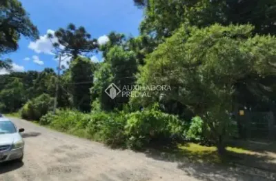 Terreno à venda na dona luiza corrêa, 244, suzana, canela, 1100 m2 por r$ 797.000