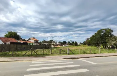 Terreno à venda na vereador laudelino antônio teixeira, 1000, grama, garopaba, 6643 m2 por r$ 7.900.000