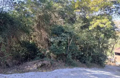 Terreno à venda na pmg 242, 12, encantada, garopaba, 2620 m2 por r$ 372.500