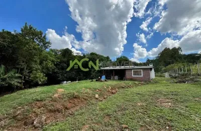 Fazenda à venda na Bela Vista, Dois Irmãos 