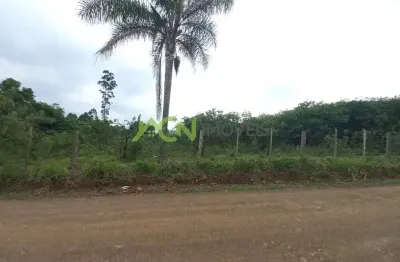 Área com 2,2 hectares, na divisa de portão e estância velha, macaco branco