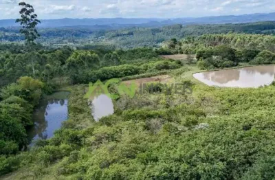 Área com 2,2 hectares, na divisa de portão e estância velha, macaco branco
