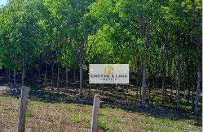 Excelente oportunidade! fazenda à venda na região do município de montividiu-go.