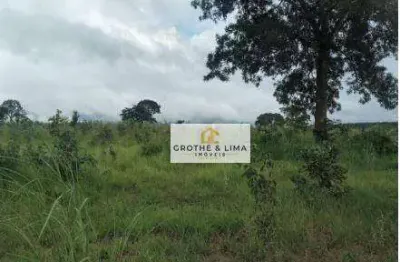 Excelente oportunidade! fazenda à venda na região do município de montividiu-go.