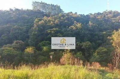 Chácara / sítio com 1 quarto à venda no Centro, Natividade da Serra 