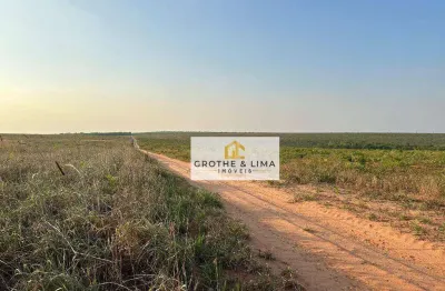Fazenda à venda na região do município de araguaina-to