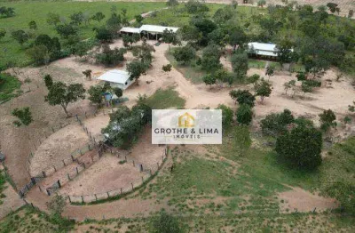 Oportunidade! mega fazenda com 226 alqueires sendo 135 em pastos formados à venda, na região do município de araguaina-to.