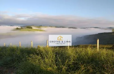 Terreno à venda, 55189 m² por r$ 320.000,00 - belém - taubaté/sp