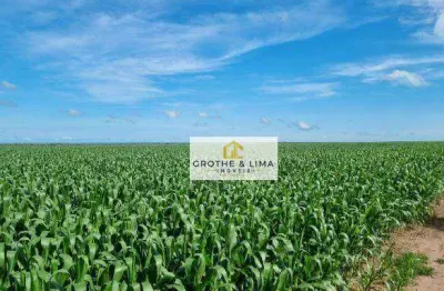 Fazenda com 8.000 hectares  à venda no município de baixa grande do ribeiro-pi.