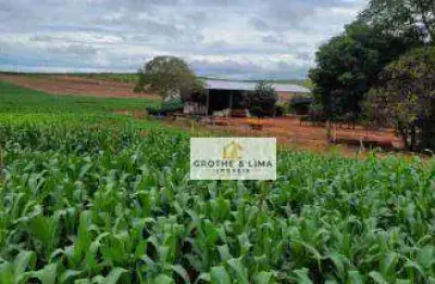 Fazenda de dupla aptidão e com 5.300 hectares  à venda na região município de estreito- ma.