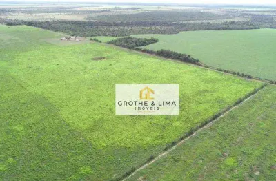 Fazenda com 2.600 hectares à venda na região município de porto alegre do norte- mt.