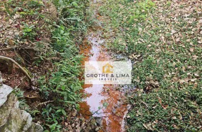 Fazenda Pecuária com Água Abundante e Alto Potencial Produtivo | Região de Taubaté – SP