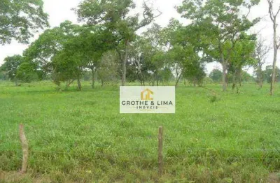 Excelente fazenda de cria no pantanal à venda em corumba-ms.