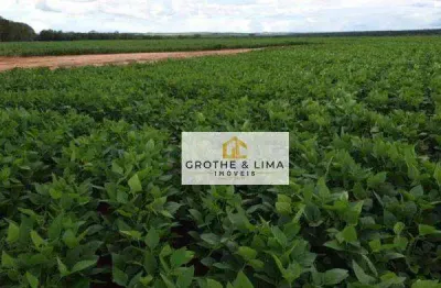 Excelente fazenda com dupla aptidão à venda em alto do araguaia-mt.