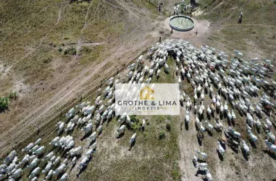 Fazenda em cocalinho, mato grosso - oportunidade única para investimento pecuário