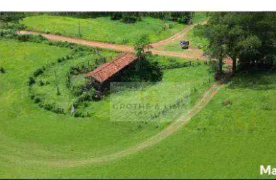Fazenda com 4 dormitórios à venda, 196300 m² por r$ 10.000.000,00 - área rural de avaré - avaré/sp
