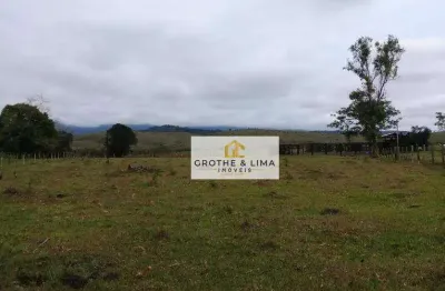 Fazenda à venda,42 alqueires paulistas por r$ 10.500.000 - pinheirinho - taubaté/sp