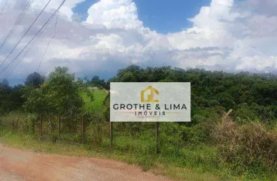 Chácara com 3 dormitórios à venda, 16000 m² por r$ 550.000,00 - bairro da pernambucana - são josé dos campos/sp