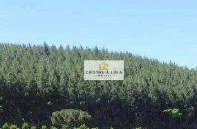 Área à venda, 950 alqueires por r$ 50.000.000 - chapada - ponta grossa/pr
