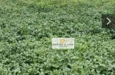 Fazenda com 711 alqueires à venda no município de tomazinha/pr.