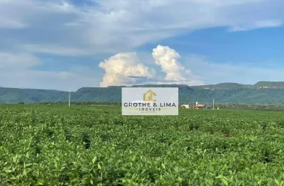 Vendo fazenda de dupla aptidão à venda no município de monte do carmo/to.