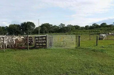 Fazenda à venda em Zona Rural, Paranã 