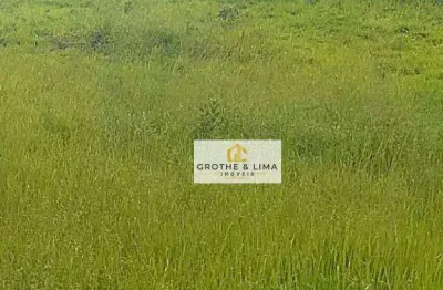 Área, 8764 m² - venda por r$ 5.696.600,00 ou aluguel por r$ 30.000,00/mês - putim - são josé dos campos/sp