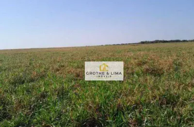 Vendo fazenda na região do município de peixes tocantins.
