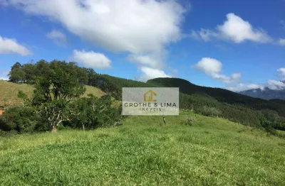 Sítio à venda, 170000 m² por r$ 2.021.000,00 - ribeirão grande - pindamonhangaba/sp