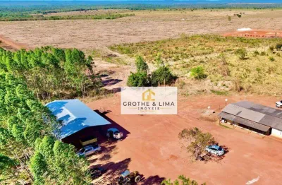 Vendo fazenda 250 alqueires com 700 hectares aberto plantando capim e milheto, milho a 55 km de araguaína/to.