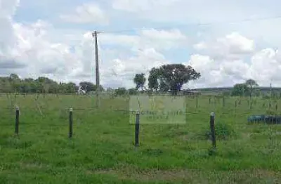 Fazenda à venda, 12027400 m² por r$ 33.000.000,00 - jardim nova agua clara - água clara/ms