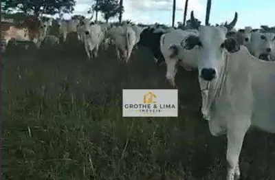 Fazenda à venda, 5130400 m² por r$ 10.600.000 - dirceu arcoverde - parnaíba/pi