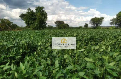 Fazenda à venda com dupla aptidão localizada em tocantins, a 149 km de palmas/to