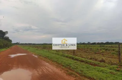 Vendo fazenda 288 alqueires na região pium vale do araguaia/to.