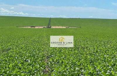 Fazenda à venda com 15.000 hectares em itiquira/mt.