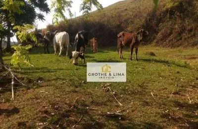 Chácara / sítio à venda no Centro, Redenção da Serra 