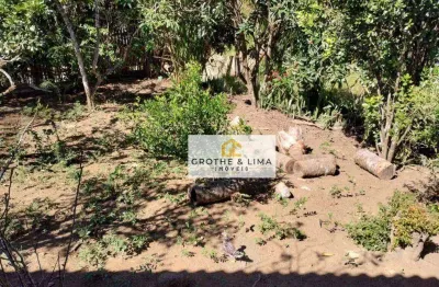 Chácara com 4 dormitórios à venda, 2000 m² por r$ 370.000 - palmeiras - natividade da serra/sp