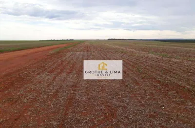 Fazenda à venda no Jardim Alvorada, Sorriso 