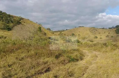 Área à venda, 20000 m² por r$ 250.000,00 - taboão - taubaté/sp