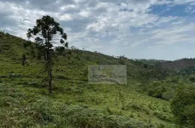 Chácara / sítio com 1 quarto à venda no Centro, Cunha 