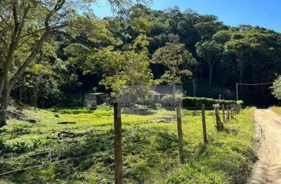 Sítio com 3 dormitórios à venda, 312000 m² por r$ 1.309.000,00 - vila jaboticabeira - taubaté/sp