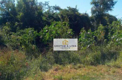 Chácara à venda, 2400 m² por r$ 462.000,00 - pingo de ouro - guaratinguetá/sp