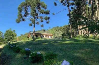 Sítio com 3 dormitórios à venda, 10000 m² por r$ 891.000,00 - vila nova são roque - são roque/sp