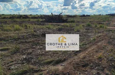 Fazenda com 1 sala à venda na Zona Rural, Pedro Afonso 