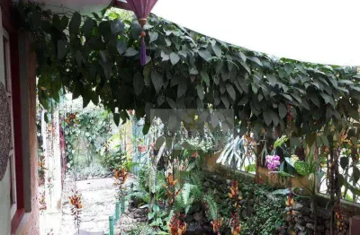 Localização paradisíaca – santuário ecológico da ilha das cabras